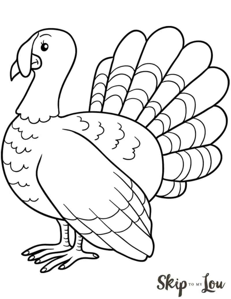 Turkeys Coloring Pages Learny Kids
