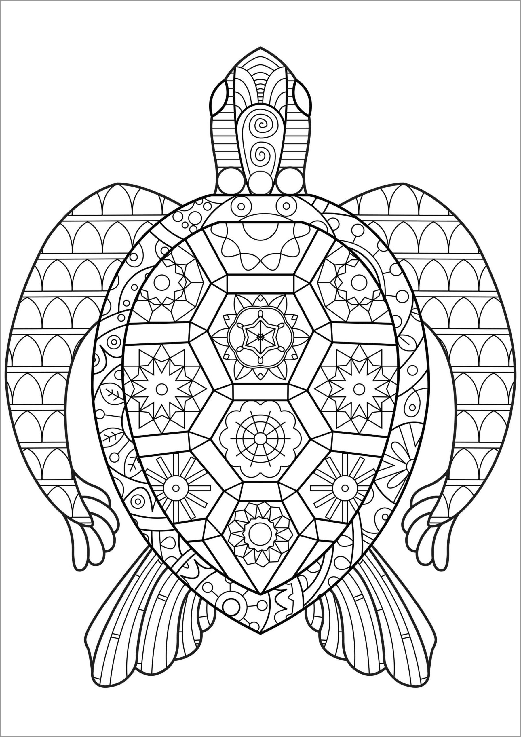 Printable Turtle Coloring Pages
