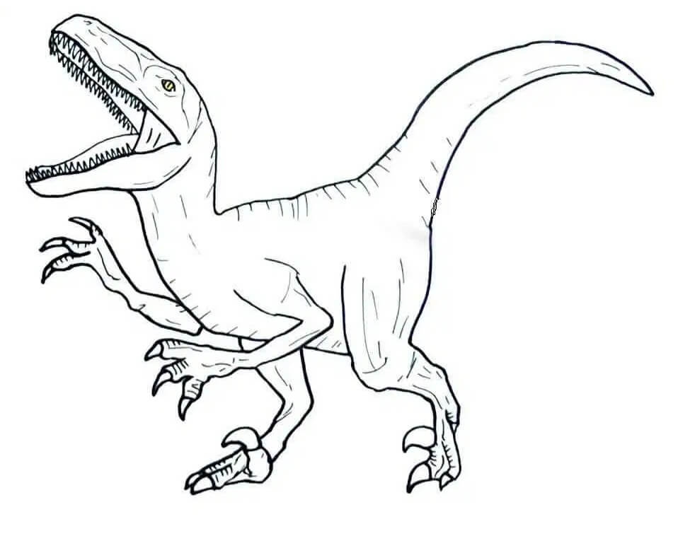 Velociraptor Coloring Page Dinosaur Coloring Pages Dinosaur Coloring 