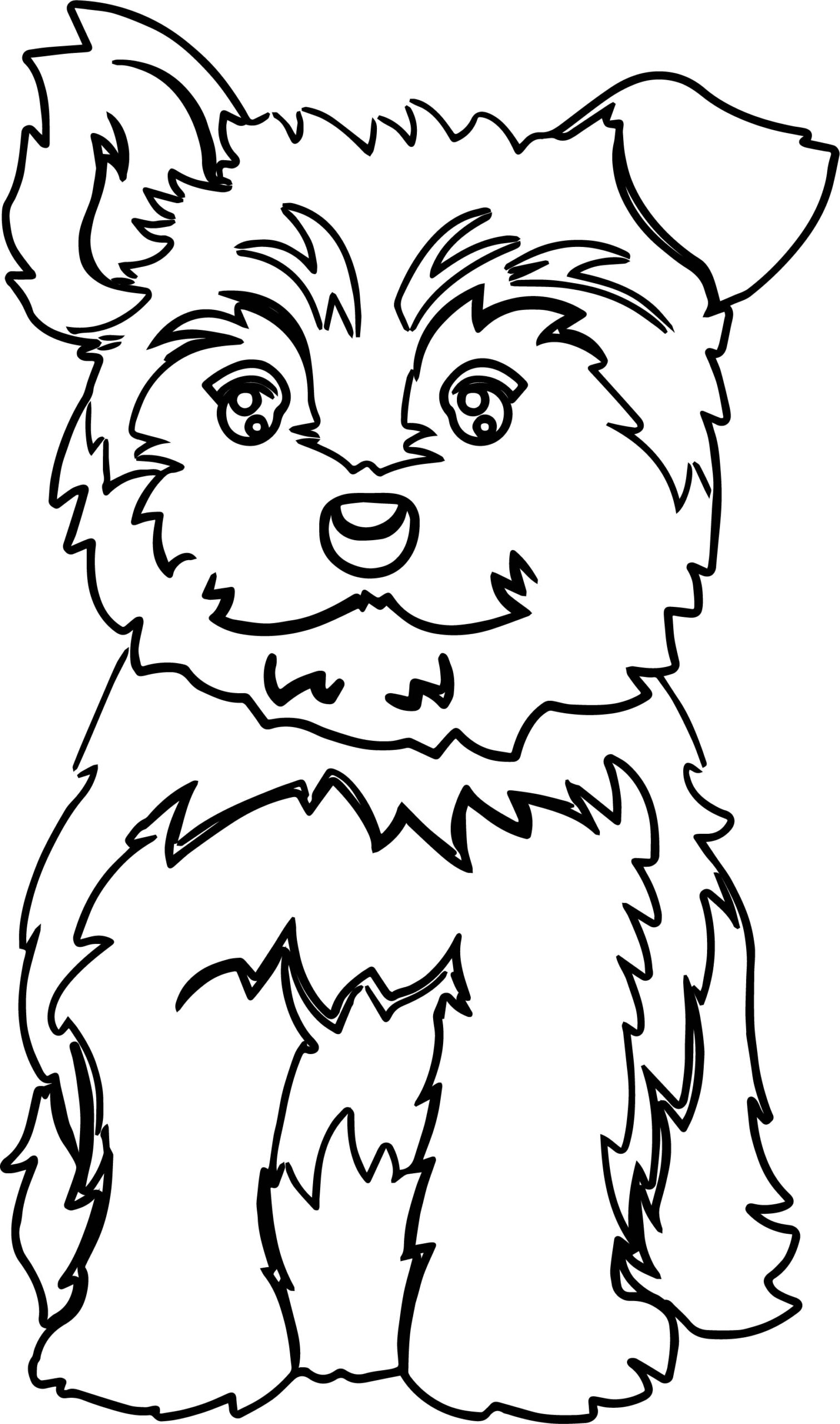 Yorkie Puppy Color Dog Puppy Coloring Page Wecoloringpage