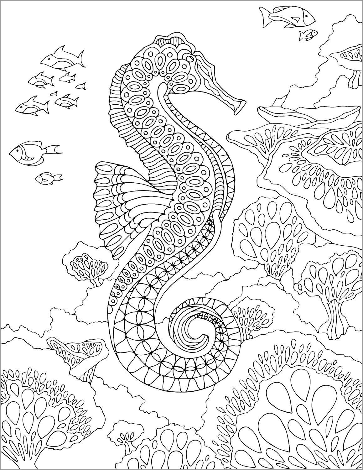 Zentangle Seahorse Coloring Page For Adult ColoringBay